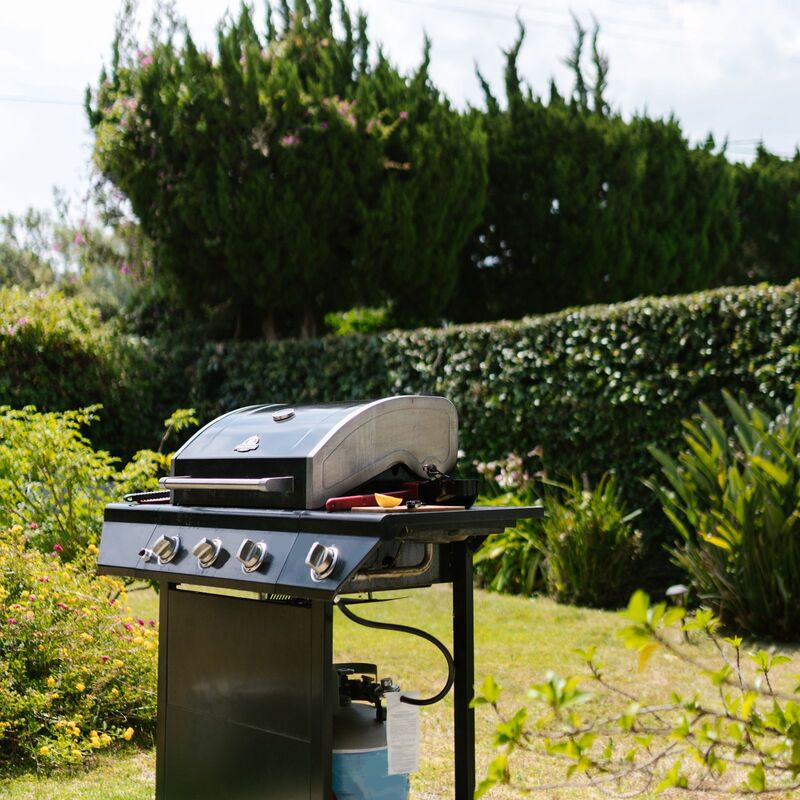Viking Grill